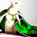 Виталий !!!