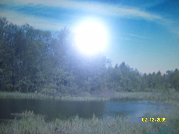 Андрей Ушаков