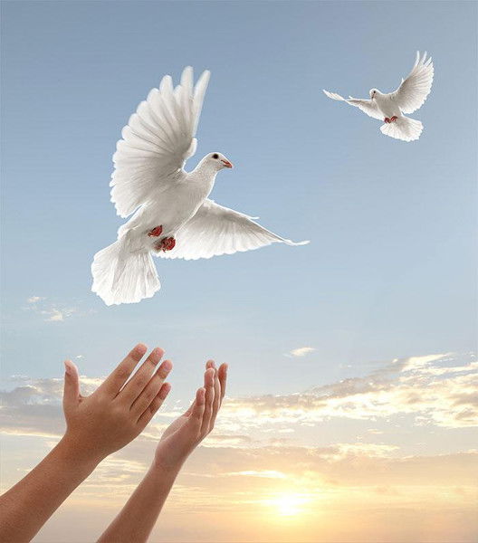 Гульнара Туктамышева