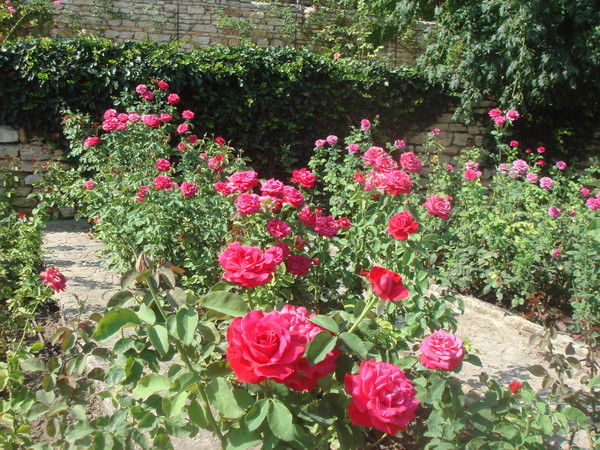 Татьяна Лалыкина