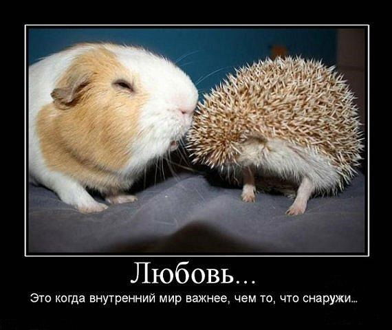 Константин Крупкин