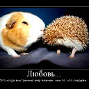 Константин Крупкин