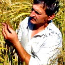 Валерий Филимоничев