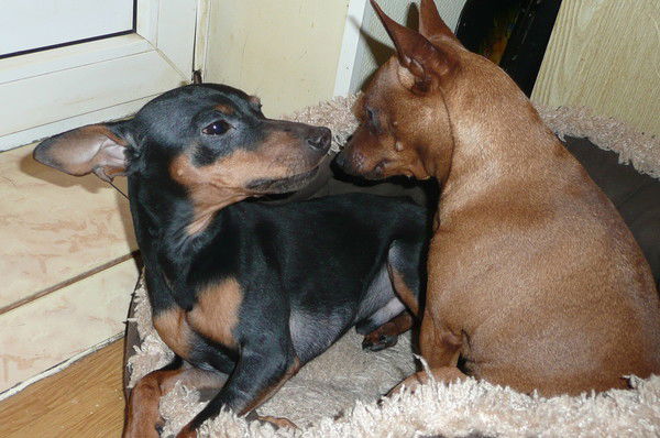 Ольга Мищенко