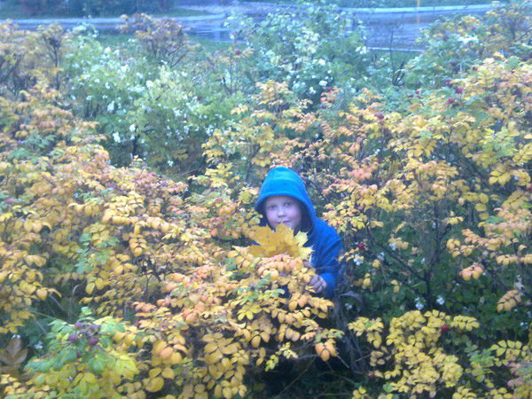 Саша Трошин