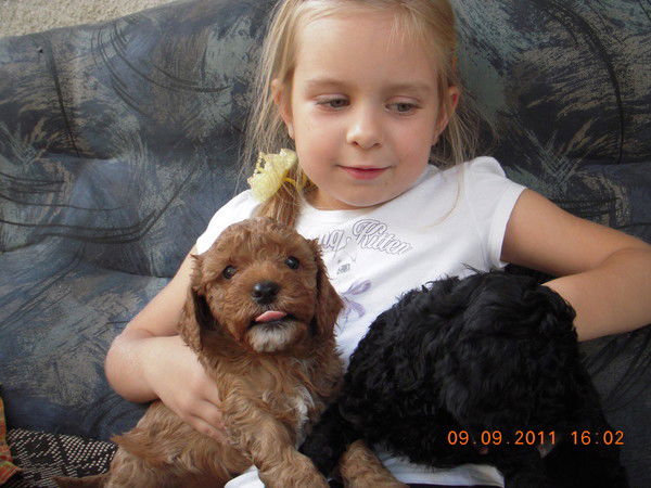 Галина Шадрина