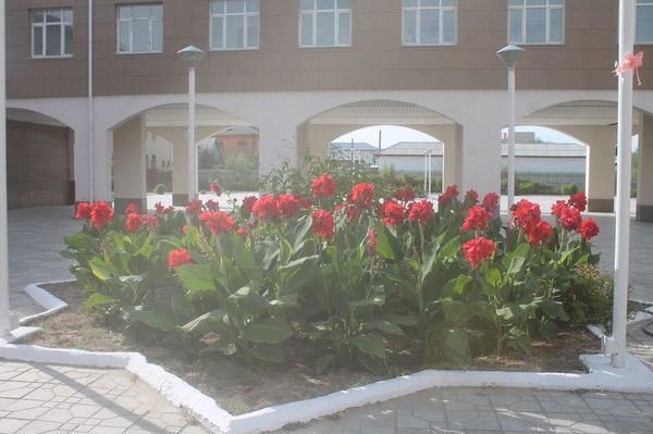 Казалы Ауданы , Айтеке Би Кенти Ул Желто