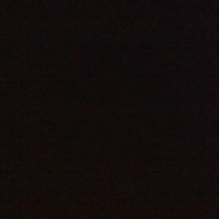 Светлана Бадина