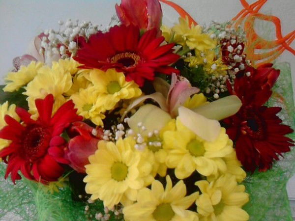 Мария Пястолова