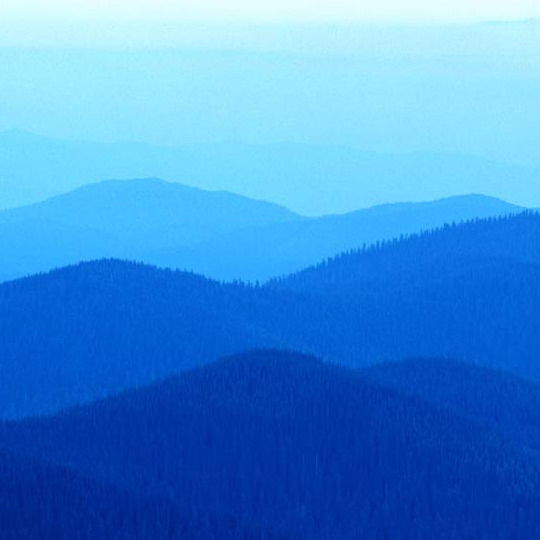 Наталия Бизюкина