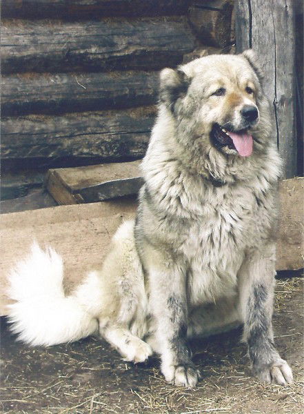 Ирина Татаркина