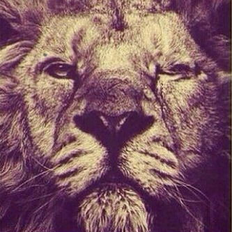 Мувахид Нохчо Эха-Борзе