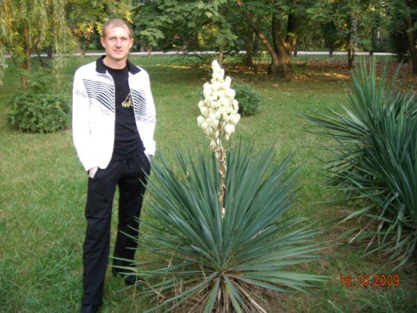 Димон.... Димон