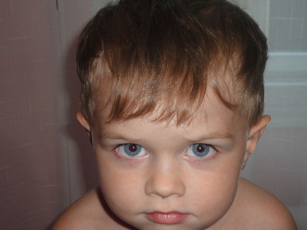 Виктор Гребень