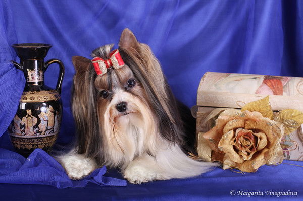 Ольга Дедушева