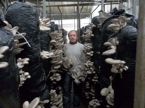 Сергей Бочаров