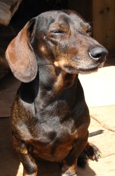 Ольга Зубченко