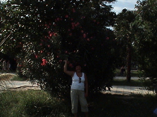 Елена Конопляник