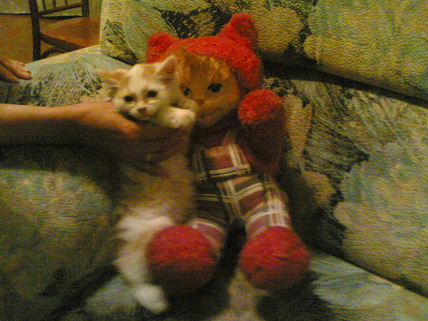 Наталья Александрова