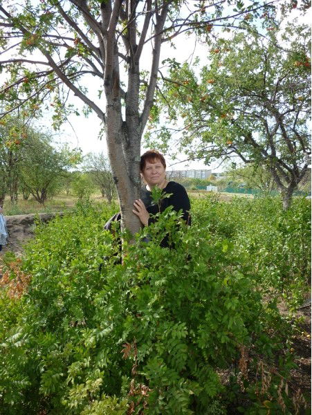 Елена Горланова