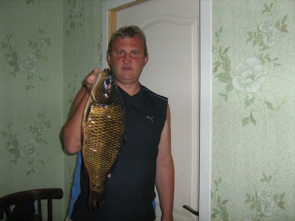 Павел Дзись