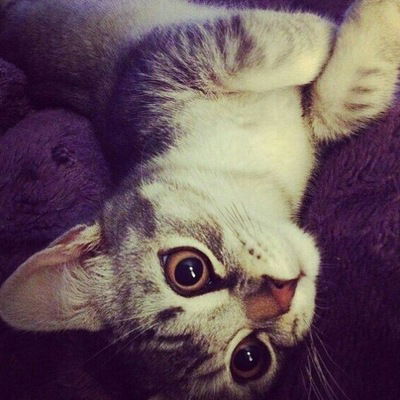 Анастасия Усольцева