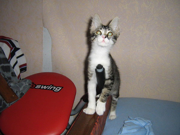 Владислав Демиденко