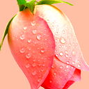 Бакыт Асенова