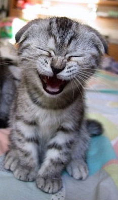 Александр Федько