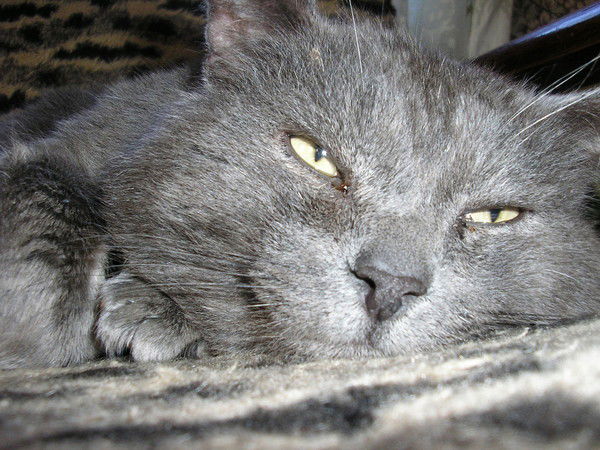 Татьяна Охонская