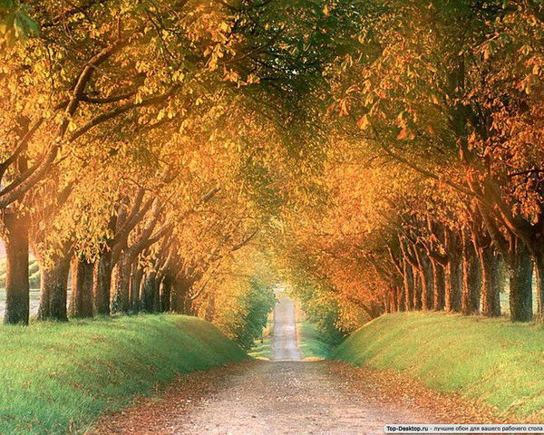 Кымбат Кулназарова