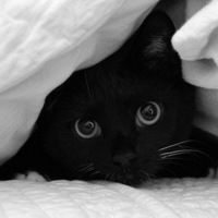 Мери Ппопинс