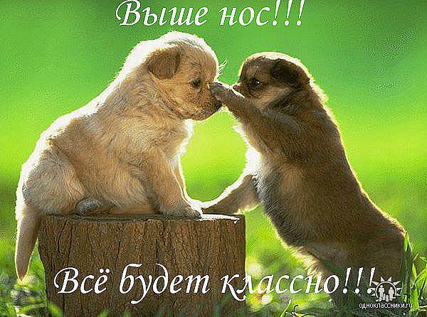 Наталка Пойда