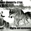 Александр Чертихин