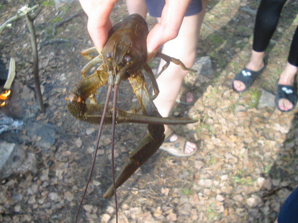 Юра Переседов