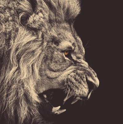 Борис Свотин