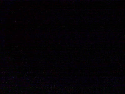 Татьяна Пчелякова