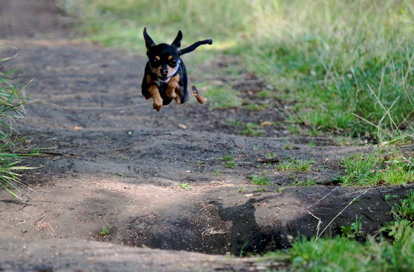 Татьяна Запорожец