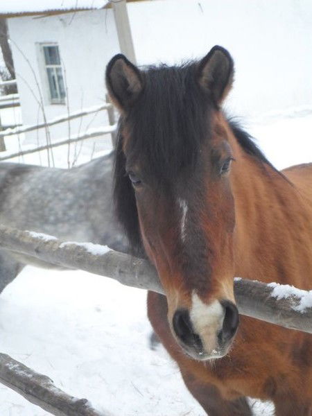Светлана))))Солнце))))Конфетик)))) Осаче