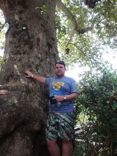 Александр Сетов