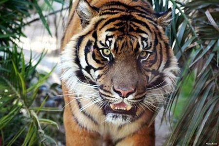 Глеб Варганов