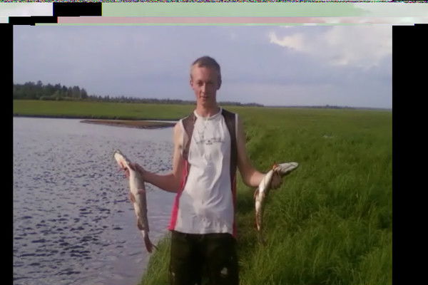 Александр Плотников