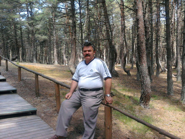 Алексей Колесников