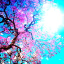 Гульжанат Калмакбаева