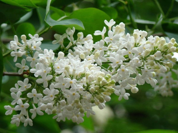 Наталия Шагабутдинова