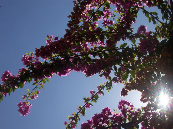 Алексей Дябин