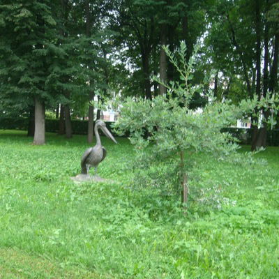 Ирина Коваленко