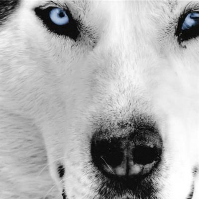 Ольга Бахвалова