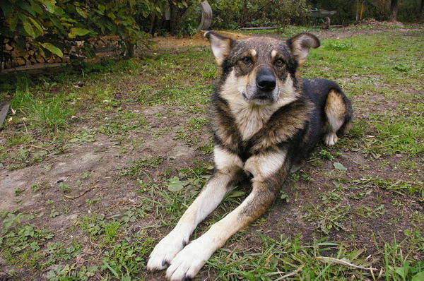 Иван Иванов