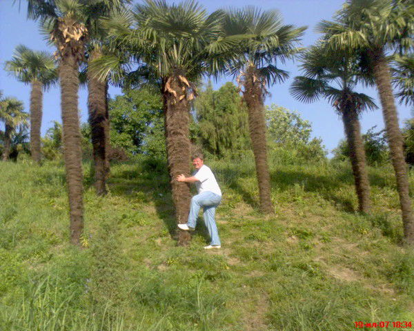 Александр Плотников